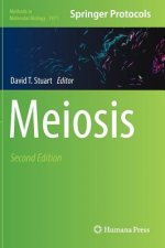 Meiosis