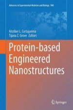 Protein-based Engineered Nanostructures