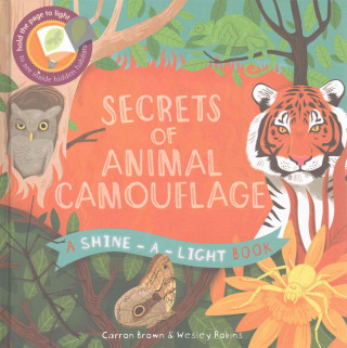 Shine a Light: Secrets of Animal Camouflage