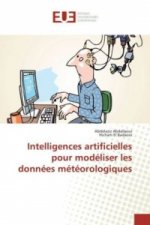 Intelligences artificielles pour modéliser les données météorologiques