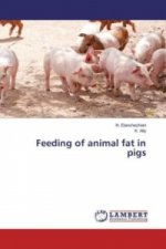 Feeding of animal fat in pigs