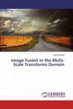 Image Fusion in the Multi-Scale Transforms Domain