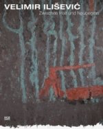 Velimir Ilisevic (German Edition)