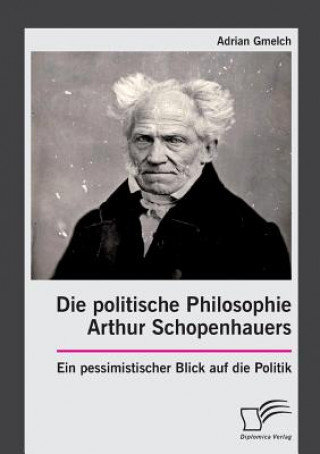 politische Philosophie Arthur Schopenhauers. Ein pessimistischer Blick auf die Politik