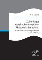 Zukunftiges Abfallaufkommen von Photovoltaikmodulen. Materialfluss- und Reifegradanalyse fur das Recycling