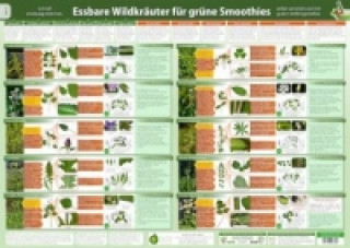 Essbare Wildkräuter für Grüne Smoothies - Erkennungskarte Teil 1 (2020). Tl.1