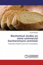 Biochemical studies on some commercial Saccharomyces cerevisiae