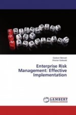 Enterprise Risk Management: Effective Implementation