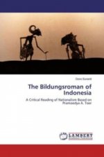 The Bildungsroman of Indonesia