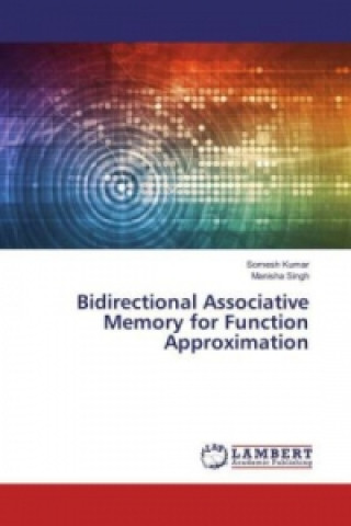 Bidirectional Associative Memory for Function Approximation