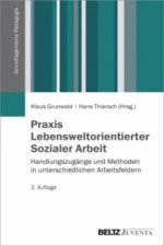 Praxishandbuch Lebensweltorientierte Soziale Arbeit