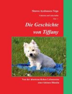 Geschichte von Tiffany
