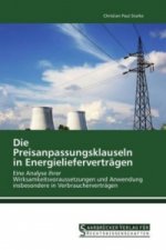 Die Preisanpassungsklauseln in Energielieferverträgen