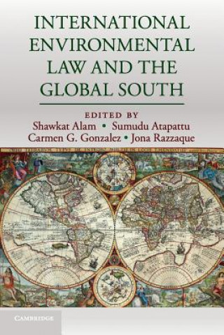 International Environmental Law and the Global South