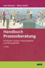 Handbuch Prozessberatung