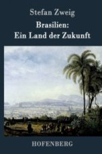 Brasilien: Ein Land der Zukunft