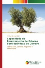 Capacidade de Enraizamento de Estacas Semi-lenhosas de Oliveira