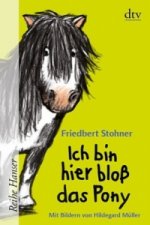 Ich bin hier bloß das Pony