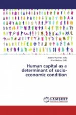 Human capital as a determinant of socio-economic condition