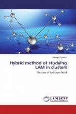 Hybrid method of studying LAM in clusters