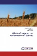 Effect of Sulphur on Performance of Wheat