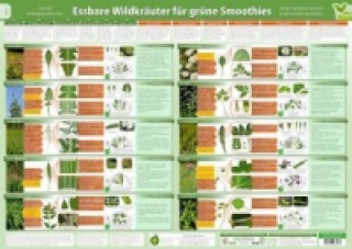 [2er Set] Essbare Wildkräuter für Grüne Smoothies (DINA4) Erkennungskarten Teil 1 und Teil 2 (2020, m. 1 Karte, m. 1 Beilage. Tl.1 u. 2