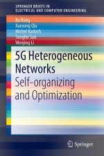 5G Heterogeneous Networks