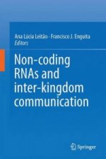 Non-coding RNAs and Inter-kingdom Communication