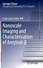 Nanoscale Imaging and Characterisation of Amyloid-