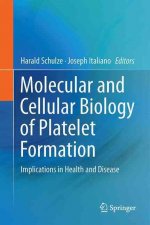 Molecular and Cellular Biology of Platelet Formation