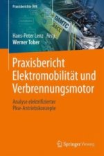Praxisbericht Elektromobilitat und Verbrennungsmotor