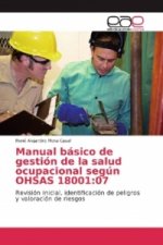 Manual básico de gestión de la salud ocupacional según OHSAS 18001:07