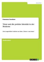 Triest und die prekare Identitat in der Moderne