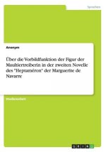 Über die Vorbildfunktion der Figur der Maultiertreiberin in der zweiten Novelle des 
