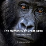 Humanity of Great Apes