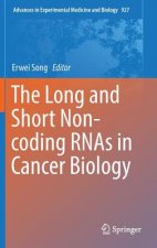 Long and Short Non-coding RNAs in Cancer Biology