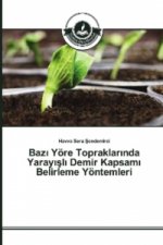 Baz_ Yöre Topraklar_nda Yaray_sl_ Demir Kapsam_ Belirleme Yöntemleri
