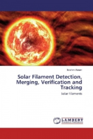 Solar Filament Detection, Merging, Verification and Tracking