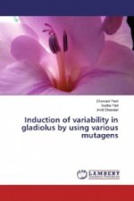 Induction of variability in gladiolus by using various mutagens