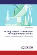 Analog Speech Transmission through Wireless Media