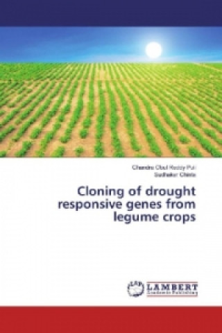 Cloning of drought responsive genes from legume crops