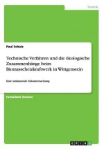 Technische Verfahren und die oekologische Zusammenhange beim Biomasseheizkraftwerk in Wittgenstein