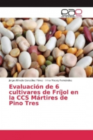 Evaluación de 6 cultivares de Fríjol en la CCS Mártires de Pino Tres