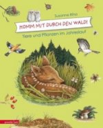 Kommt mit durch den Wald!