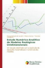 Estudo Numérico-Analítico de Modelos Reológicos Unidimensionais