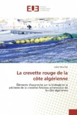 La crevette rouge de la côte algérienne