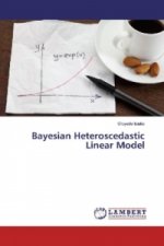 Bayesian Heteroscedastic Linear Model