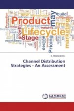 Channel Distribution Strategies - An Assessment