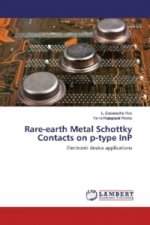 Rare-earth Metal Schottky Contacts on p-type InP