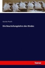 Die Beurteilungslehre des Rindes